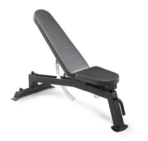 Adjustable Weight Bench with High-Density Foam Backrest;  300 lb. Weight Limit